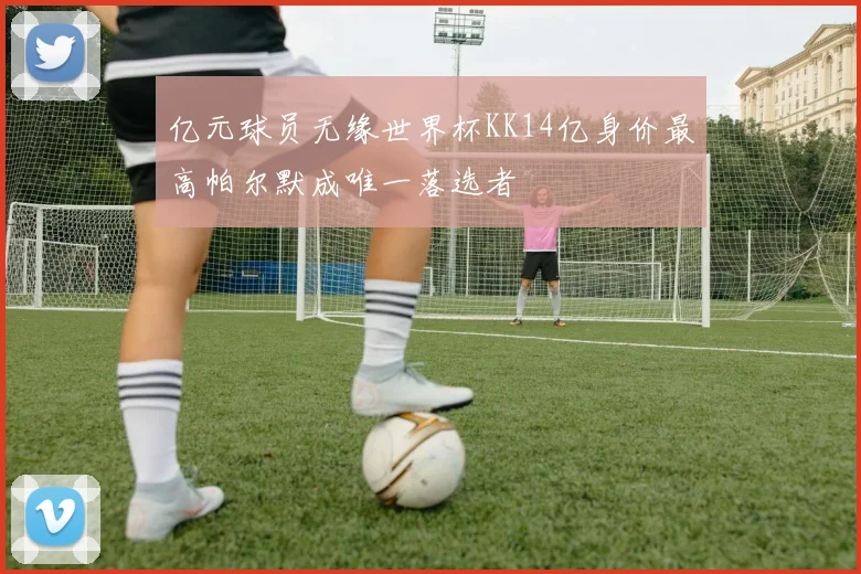亿元球员无缘世界杯KK14亿身价最高帕尔默成唯一落选者
